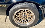 1979 Trans Am Thumbnail 71