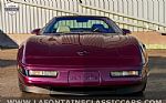 1995 Corvette Thumbnail 19
