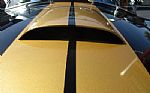 1964 Shelby Thumbnail 48