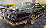 1984 Firebird Trans Am Thumbnail 4