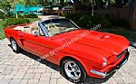 1966 Mustang Thumbnail 1
