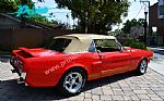 1966 Mustang Thumbnail 44