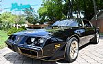 1979 Trans Am Special Edition Y84 Thumbnail 2