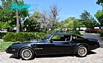 1979 Trans Am Special Edition Y84 Thumbnail 4