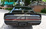 1979 Trans Am Special Edition Y84 Thumbnail 9