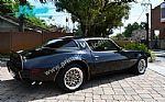 1979 Trans Am Special Edition Y84 Thumbnail 32