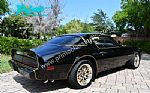 1979 Trans Am Special Edition Y84 Thumbnail 40