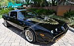 1979 Trans Am Special Edition Y84 Thumbnail 44