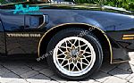 1979 Trans Am Special Edition Y84 Thumbnail 48