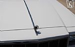 1983 Special Estate Wagon Thumbnail 47