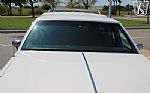 1983 Special Estate Wagon Thumbnail 48