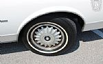1983 Special Estate Wagon Thumbnail 53