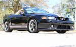 2004 Mustang Roush Thumbnail 11