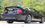 2004 Mustang Roush Thumbnail 8