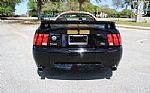 2004 Mustang Roush Thumbnail 21