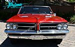 1964 GTO Thumbnail 7
