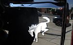 2022 Bronco Thumbnail 49