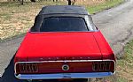1969 Mustang Thumbnail 5