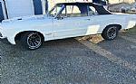 1964 GTO Thumbnail 4