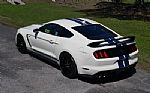2020 Mustang GT350R Heritage Editio Thumbnail 18