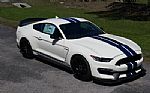 2020 Mustang GT350R Heritage Editio Thumbnail 62