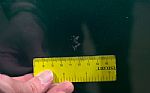 1998 F150 XLT Thumbnail 35
