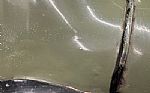 1941 Super Deluxe Tudor Sedan Thumbnail 35