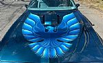 1979 Trans Am Thumbnail 3