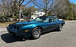 1979 Trans Am Thumbnail 4