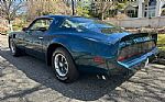 1979 Trans Am Thumbnail 6
