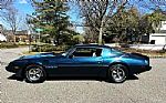 1979 Trans Am Thumbnail 9