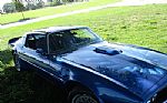 1978 Trans Am Thumbnail 2