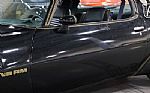 1979 Trans Am Thumbnail 14