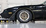 1979 Trans Am Thumbnail 16