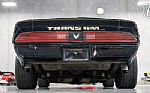 1979 Trans Am Thumbnail 21