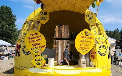 Photo of a 2015 Concession Lemonade Trailer for sale