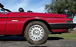 1986 Spider Graduate Thumbnail 19