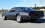 1979 Firebird Trans Am Thumbnail 5
