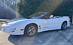 2001 Firebird Trans Am Thumbnail 6