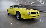 1976 Firebird Trans Am Thumbnail 21