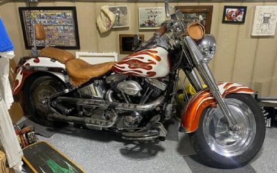 Photo of a 1995 Harley-Davidson Flstf for sale