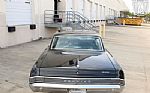 1965 GTO Thumbnail 8
