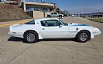1979 Trans Am Thumbnail 2