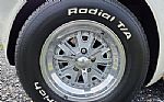 1966 Shelby Cobra Thumbnail 34