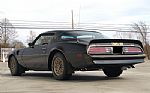 1977 Firebird Trans Am Thumbnail 4