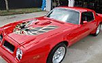1976 Trans Am Thumbnail 2