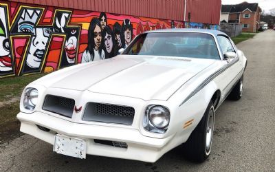 Photo of a 1976 Pontiac Firebird Esprit for sale