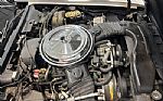 1981 Corvette Thumbnail 20