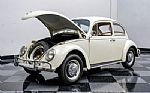 1966 Beetle Thumbnail 67