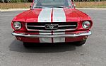 1965 Mustang 2+2 Thumbnail 3